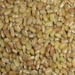 Bamboo Beans