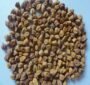 Gramwhole ( Desi Chana)