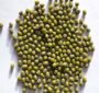 Green Mung Beans