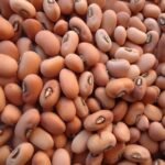 Pink Cowpeas