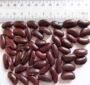 Red kidney beans