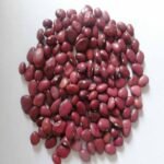 Sultani Beans