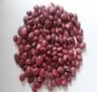 Sultani Beans