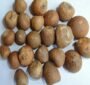 betel nut whole small