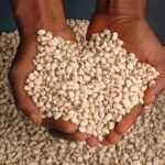 Cowpeas