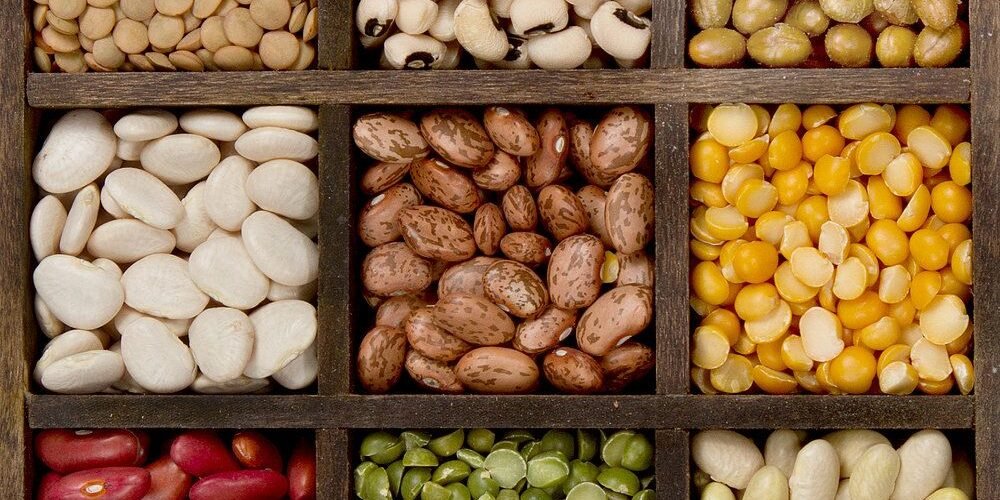 beans source of high nutrition and proteins