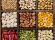 beans source of high nutrition and proteins