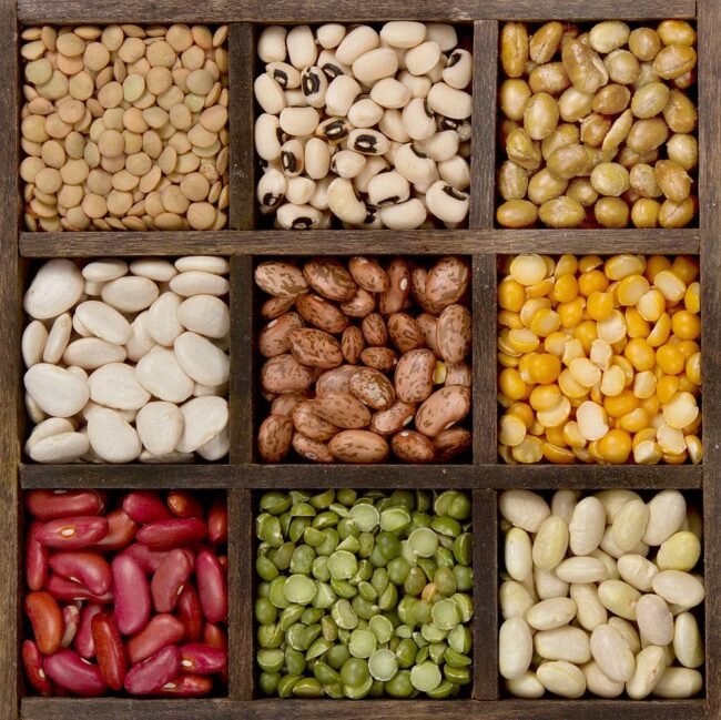 beans source of high nutrition and proteins
